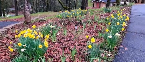 Jardines del alojamiento