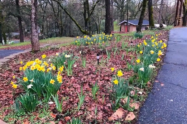 Àrea exterior de l'allotjament