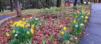 🌳Cozy Country Guesthouse, 3-Acre Peaceful Retreat🍃