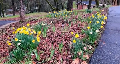 🌳Cozy Country Guesthouse, 3-Acre Peaceful Retreat🍃