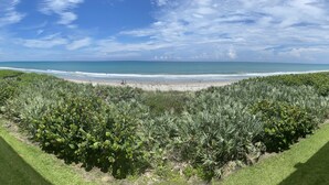 Vista de una playa con un exuberante jardín al frente.