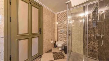 A bathroom with a shower, toilet, and a door with a panel design.