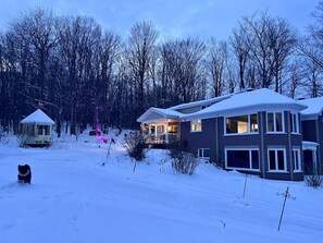 Un barrio residencial con una casa de dos pisos, un pabellón y un perro en la nieve.