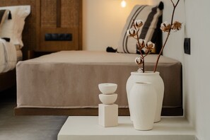 Suite Studio Supérieure