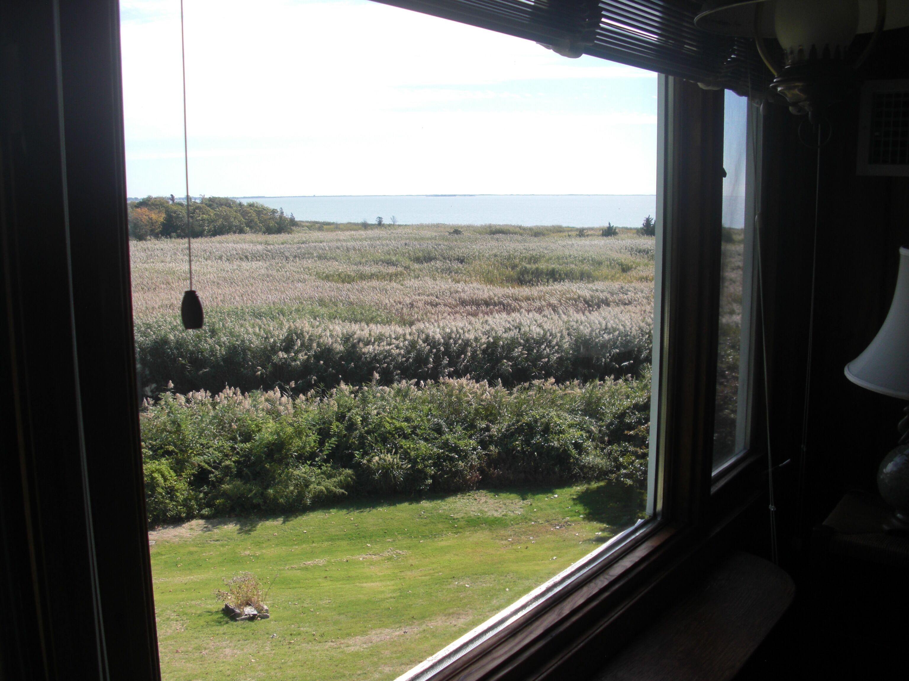 View from upstairs bedroom picture window.