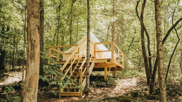 Une cabane en bois située dans une forêt, avec un escalier menant à l’entrée.