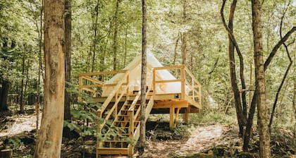 Lakefront Glamping Resort Cherokee Lake Tennessee Site 2