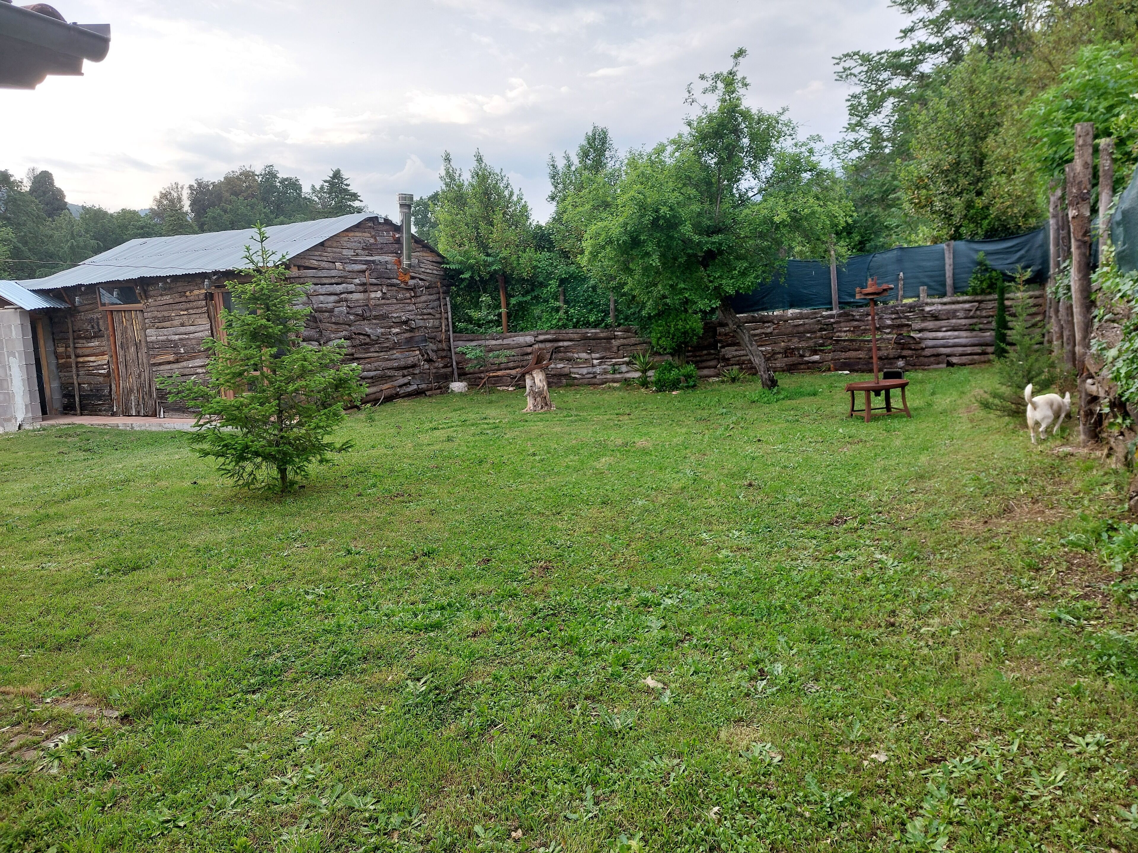 giardino retrostante la casa