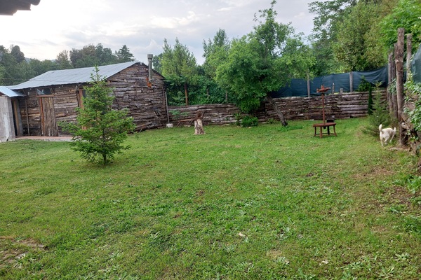 giardino retrostante la casa