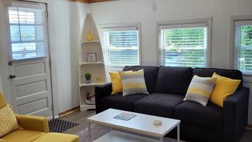 TV connectée, cheminée, Netflix, livres