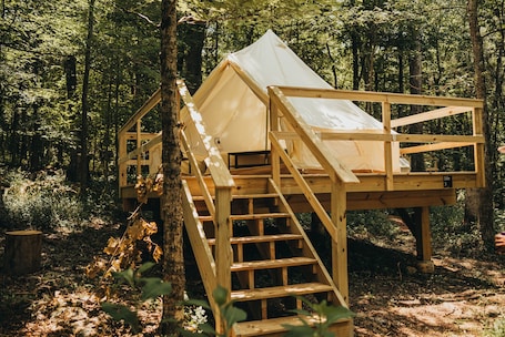 Property grounds. Lakefront Glamping Resort Cherokee Lake Tennessee Site 3