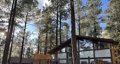 Pinecone Cabin - BEAUTIFUL View And Remodel - Now With AC!