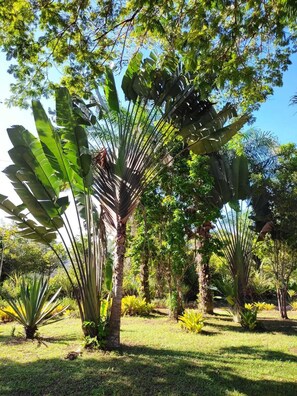 المنطقة المحيطة بالمنشأة