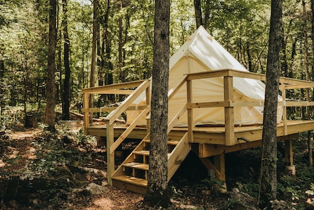 Exterior. Lakefront Glamping Resort Cherokee Lake Tennessee Site 4