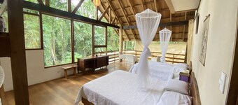 
Private natural house
seafront paradise, Jungle meets beach, lots of animals! 