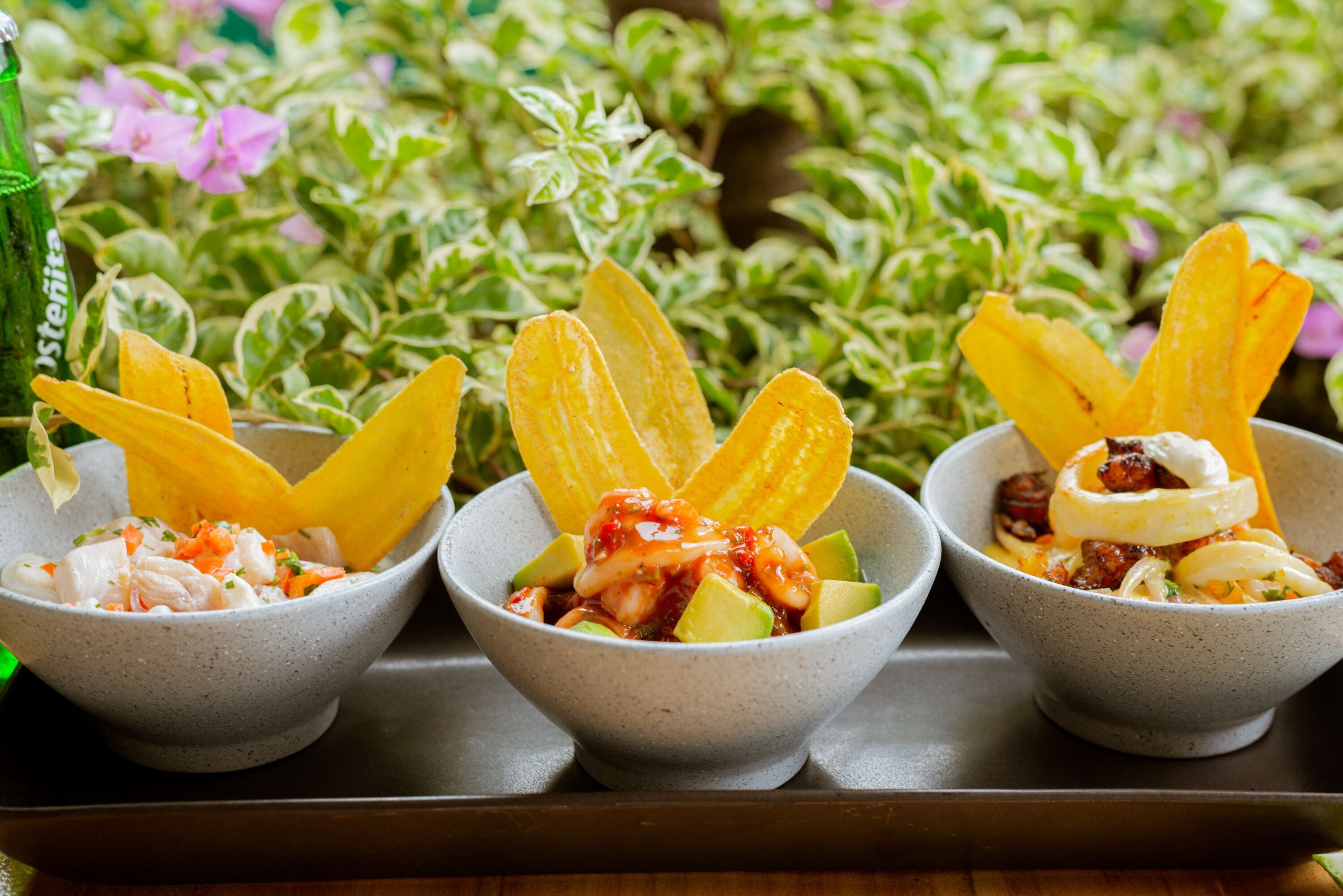 Foto - Hotel Coco Beach by Croma