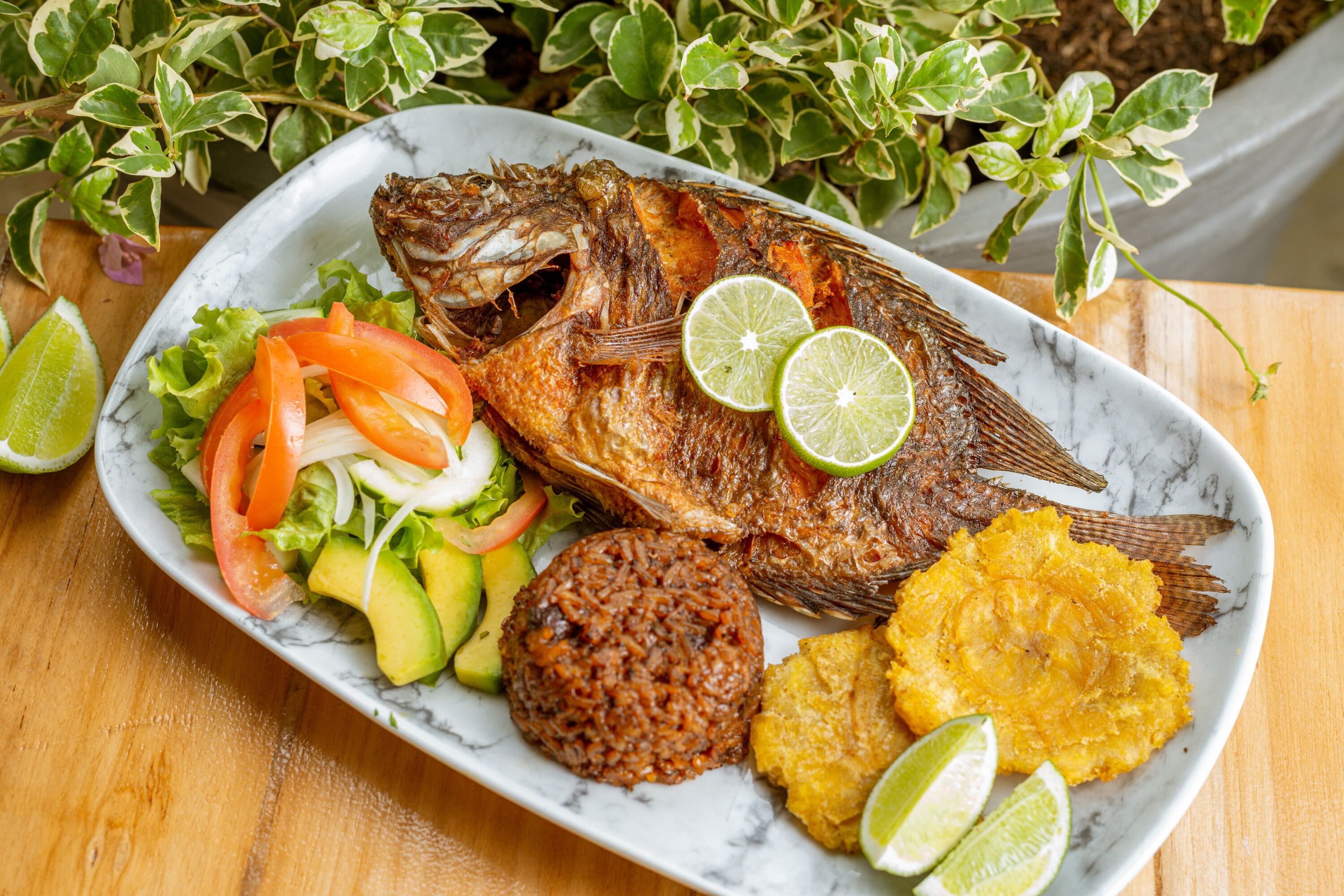 Foto - Hotel Coco Beach by Croma