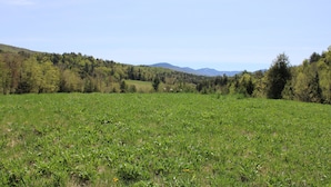 A grassy field with trees and distant mountains. - Enjoy nature in a cabin getaway, wildflowers, lush fields and maple woods trails (Cambridge)