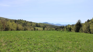 Terrain de l’hébergement 