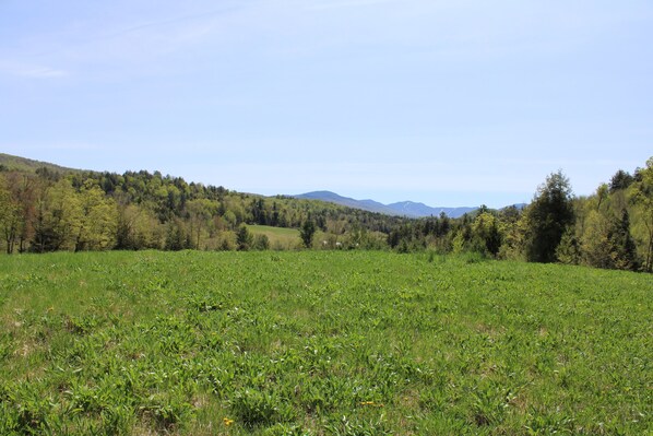 Terrain de l’hébergement 