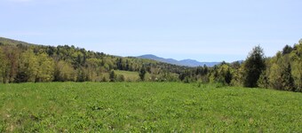 Enjoy nature in a cabin getaway, wildflowers, lush fields and maple woods trails