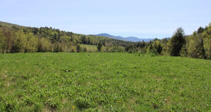 Enjoy nature in a cabin getaway, wildflowers, lush fields and maple woods trails