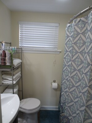 Combined shower/tub, hair dryer, towels, soap - 2 Bedroom Apartment Near Downtown Durham (Durham)