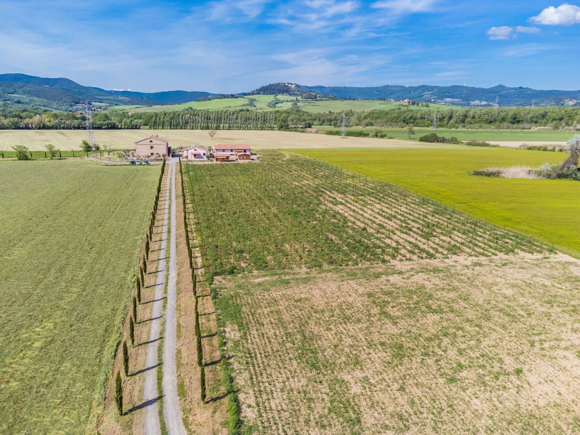 An aerial view of a vineyard with rows of grapevines, a farmhouse, and rolling hills in the background.