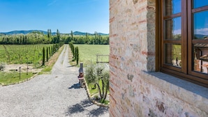 Un bâtiment rustique en pierre, avec un chemin de gravier menant à un vignoble.