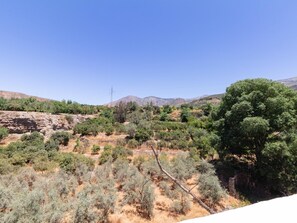 A mountainous landscape with sparse vegetation, a clear sky, and a distant power line tower. - Fantastic rural house in the Lecrín Valley (Lecrín (Talará))