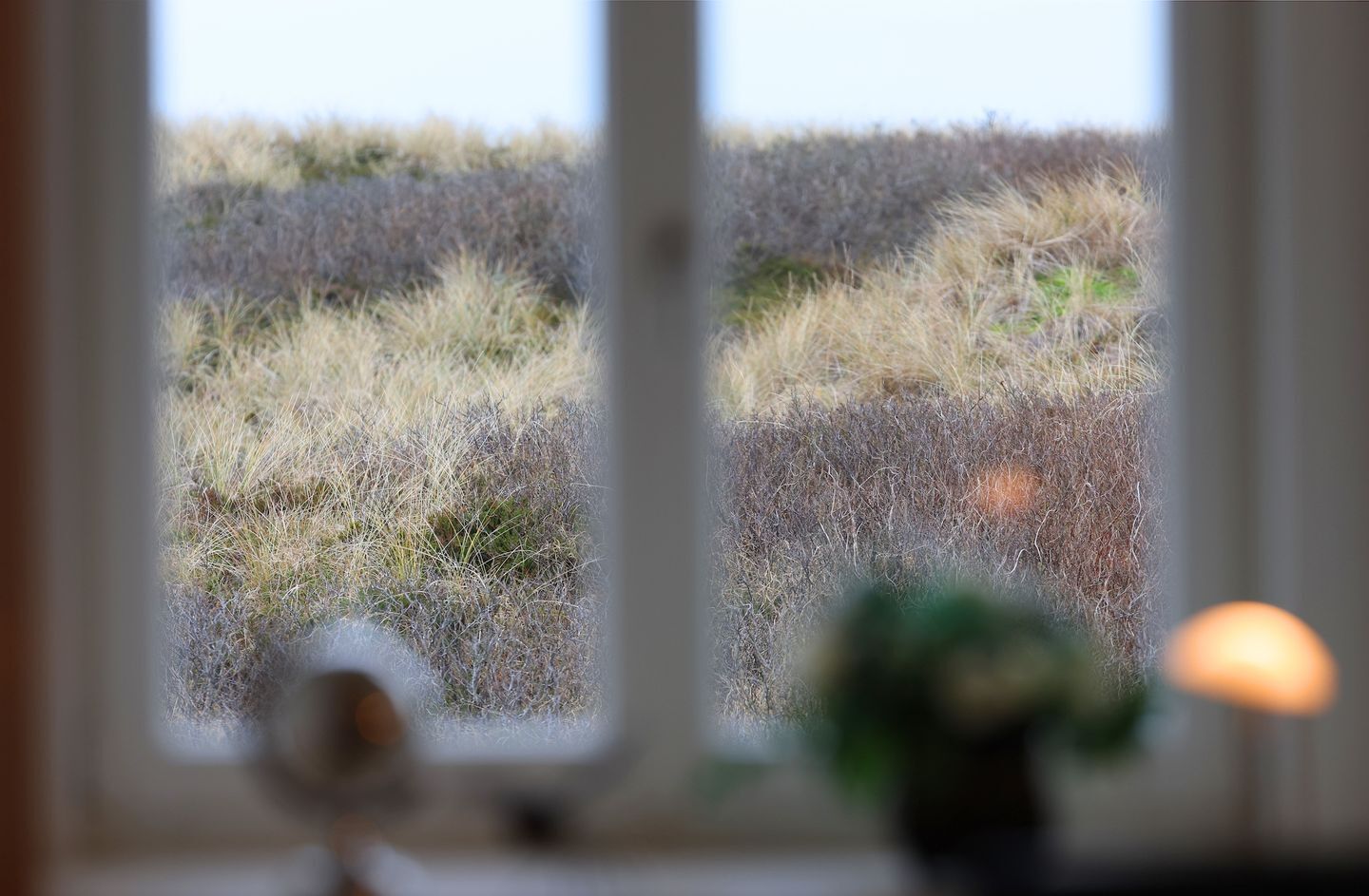 Een uitzicht op een grasveld.