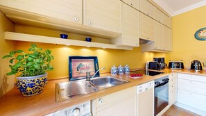 Fridge, oven, stovetop, dishwasher