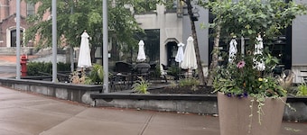 Lovely Three bedroom home and backyard