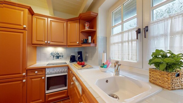 Fridge, oven, stovetop, dishwasher