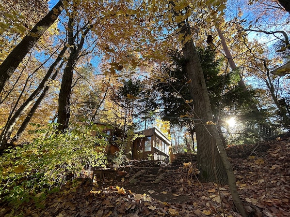 A cabin surrounded by trees with a wooden staircase leading up to it.