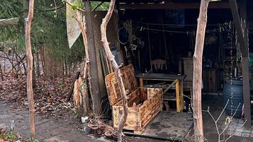 Une structure rustique en bois, avec un banc et une table, entourée d’arbres et posée sur un sol en terre battue.