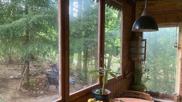 Interior de madera con ventanas amplias, una mesa con un frutero y una lámpara colgante.