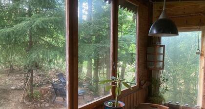 Bungalow «âŻim Wald am See - BiberspurâŻÂ» avec vue sur le lac et jardin