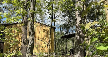 Bungalow 'im Wald am See - Biberspur' avec vue sur le lac et jardin.