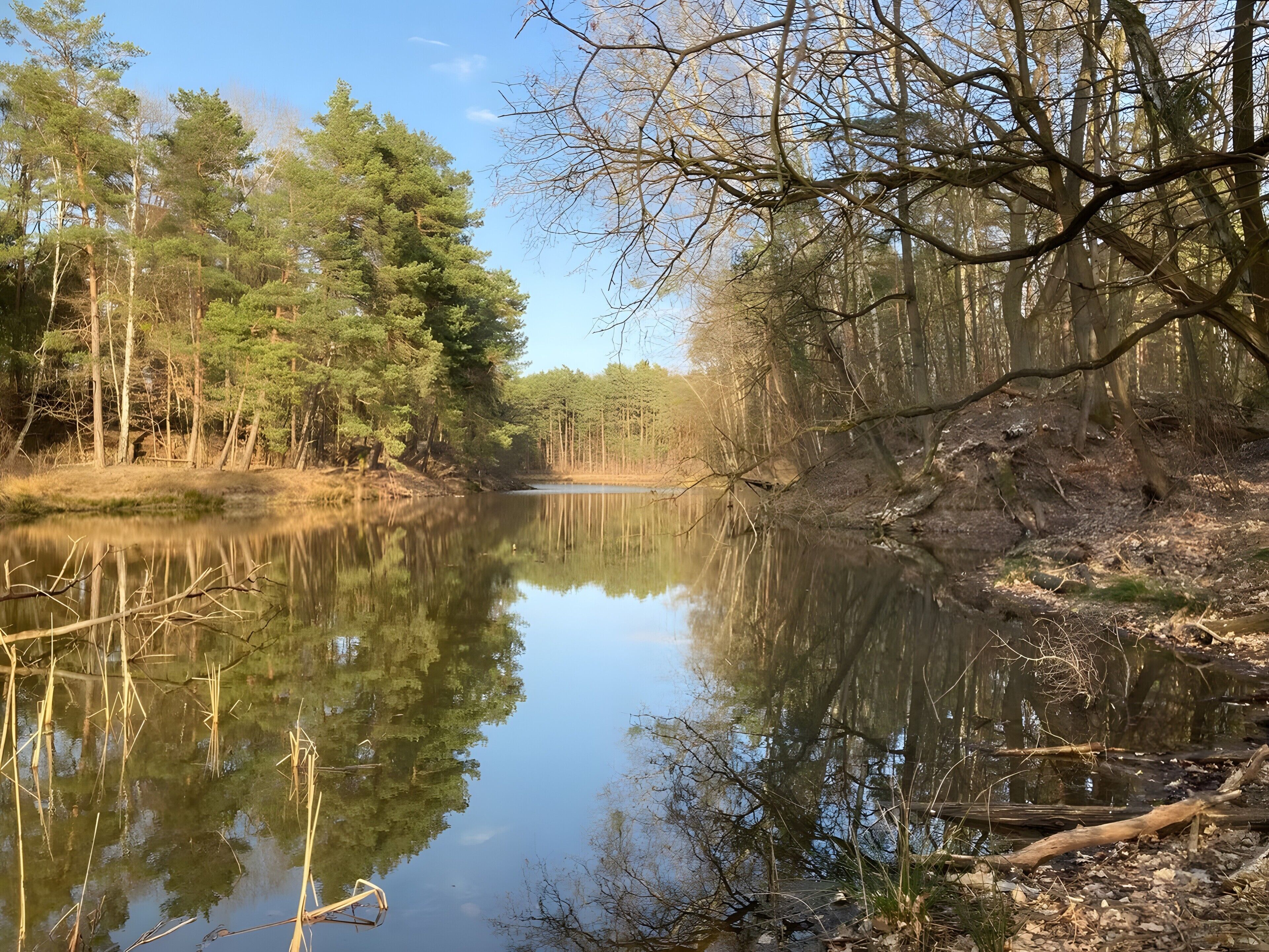 Un río tranquilo bordeado de árboles a ambos lados, cielo despejado y el reflejo de los árboles en el agua.