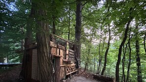 Una struttura in legno rustica integrata in un albero, con una scala che porta a una piattaforma.
