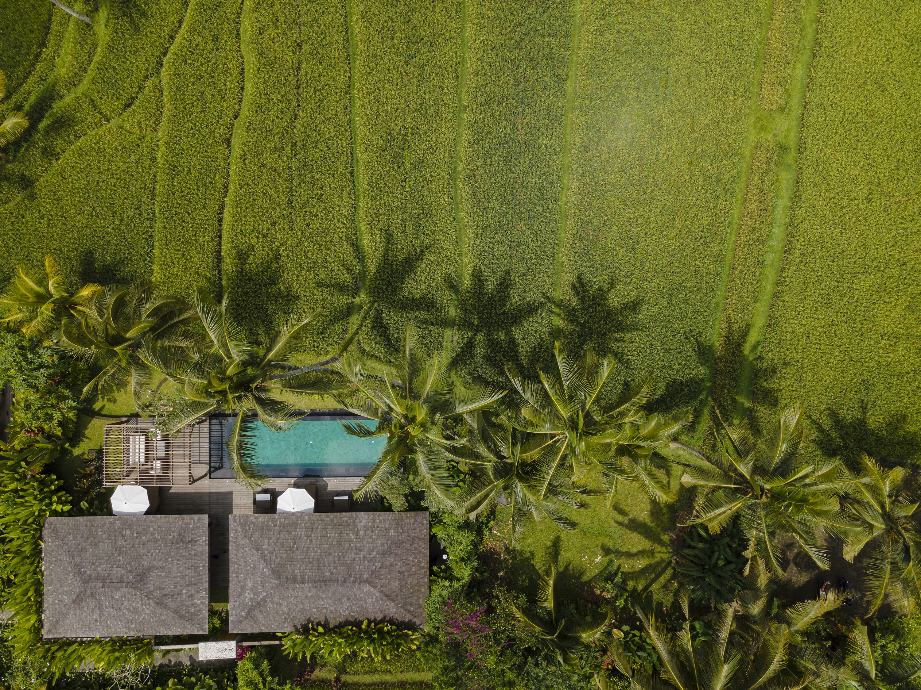 Vista aerea di un resort con piscina, palme e un edificio con tetto.