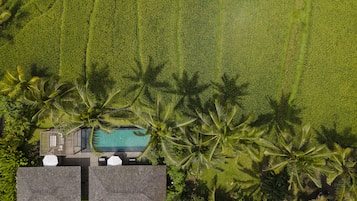 Vista aerea di un resort con piscina, palme e un edificio con tetto.