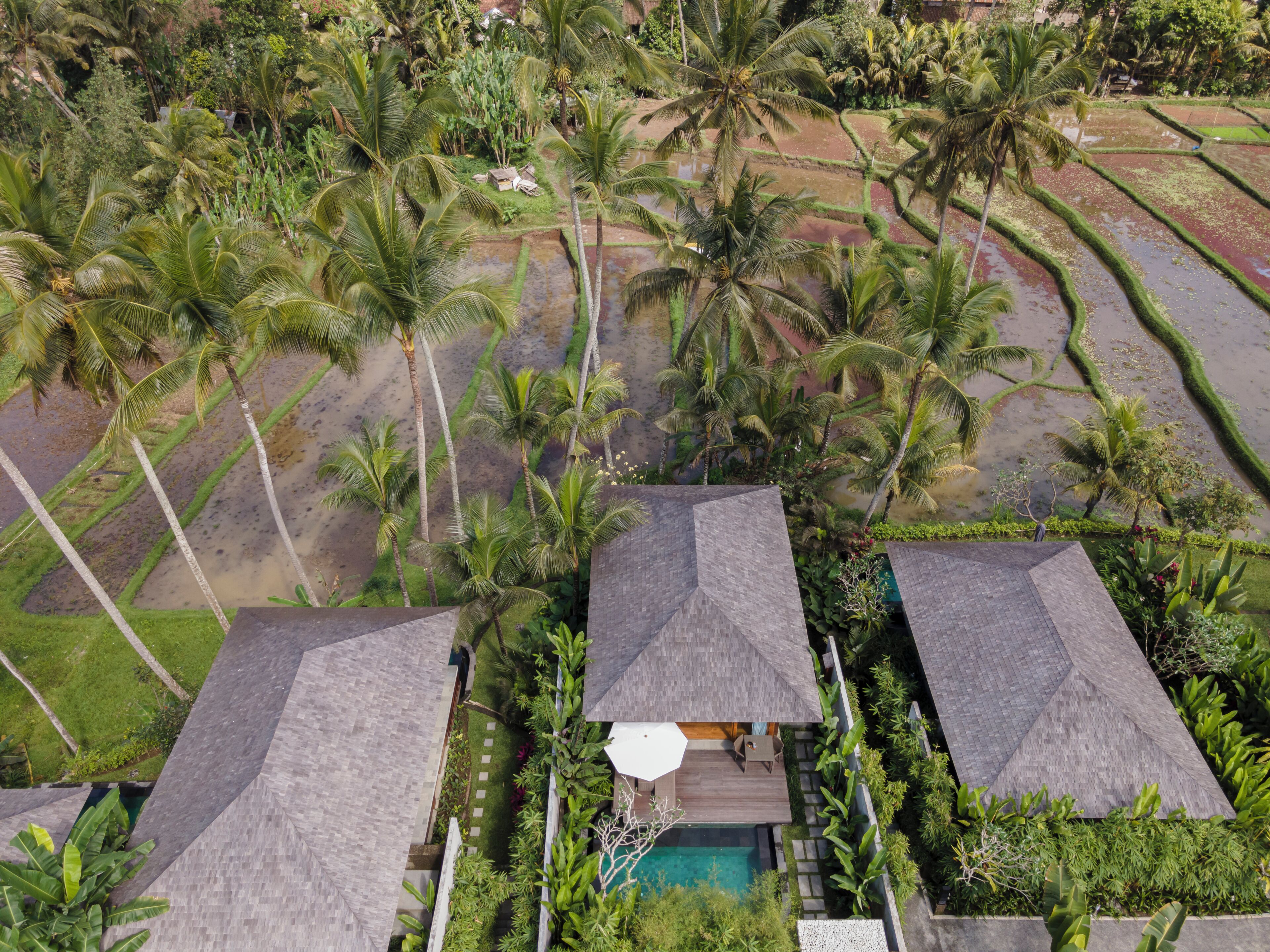 Foto - Kappa Senses Ubud Hotel