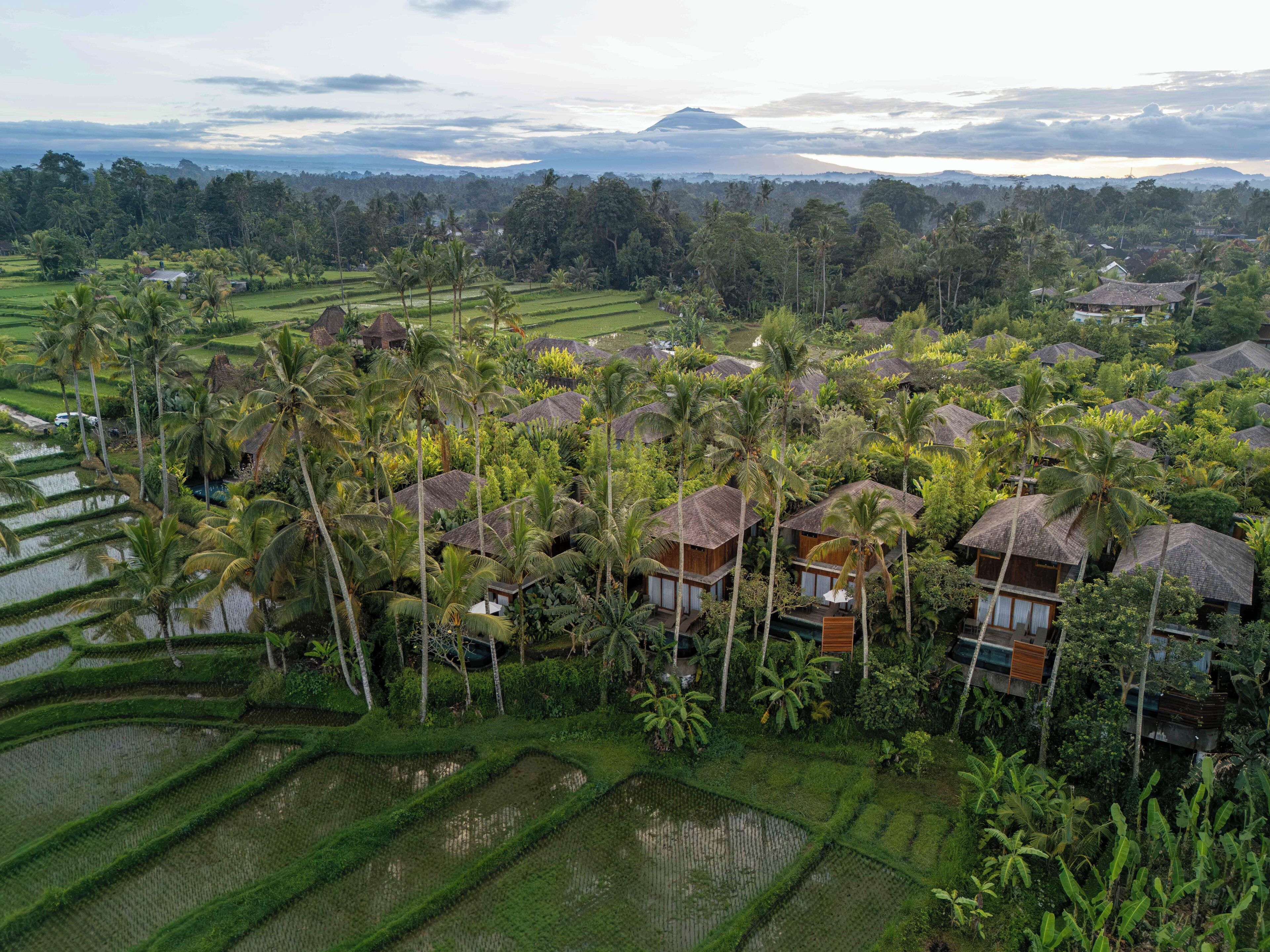 Un resort tropical con bungalows de techo de paja rodeado de exuberante follaje y terrazas de arrozales.