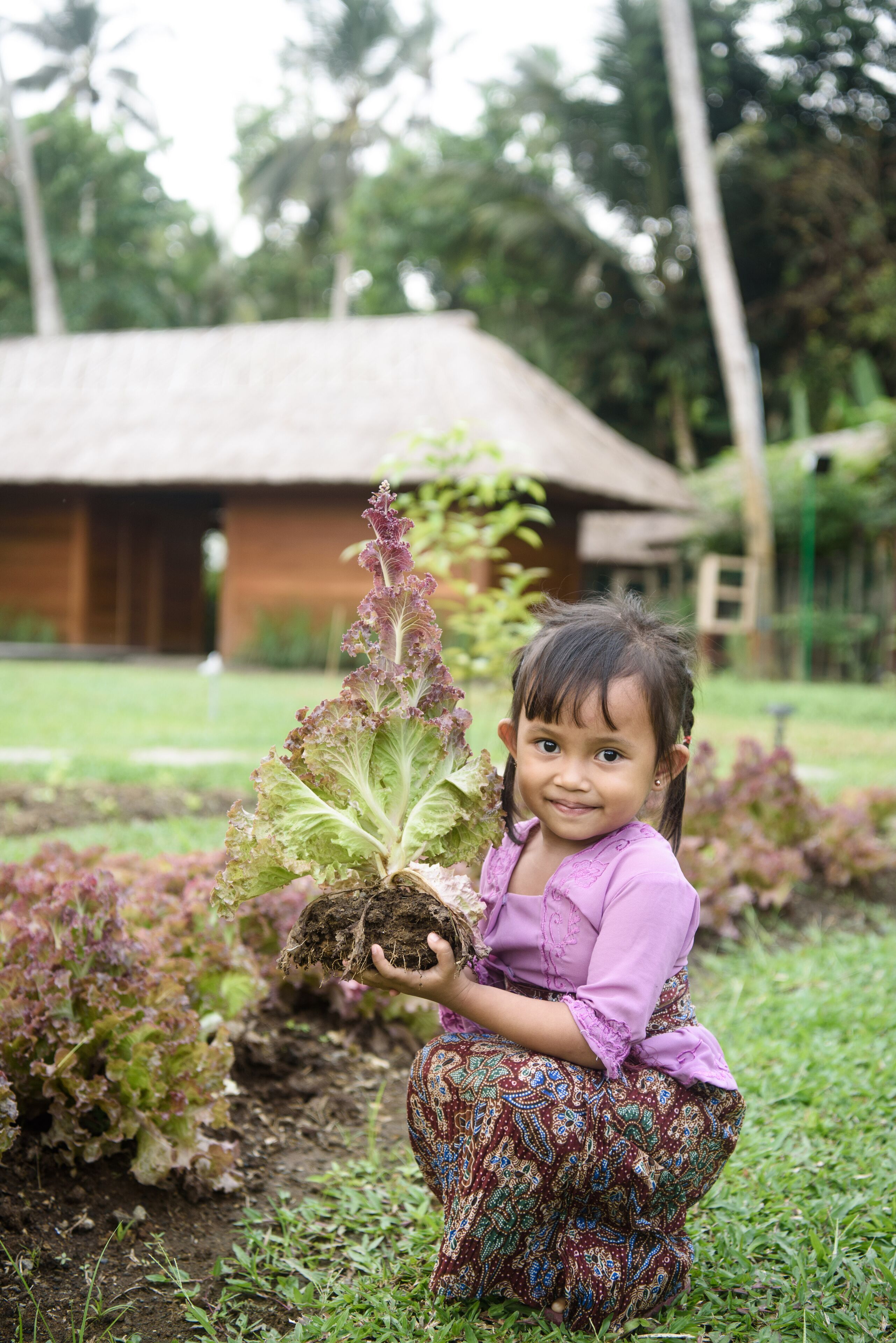 A child holding a plant in a garden with a building in the background.