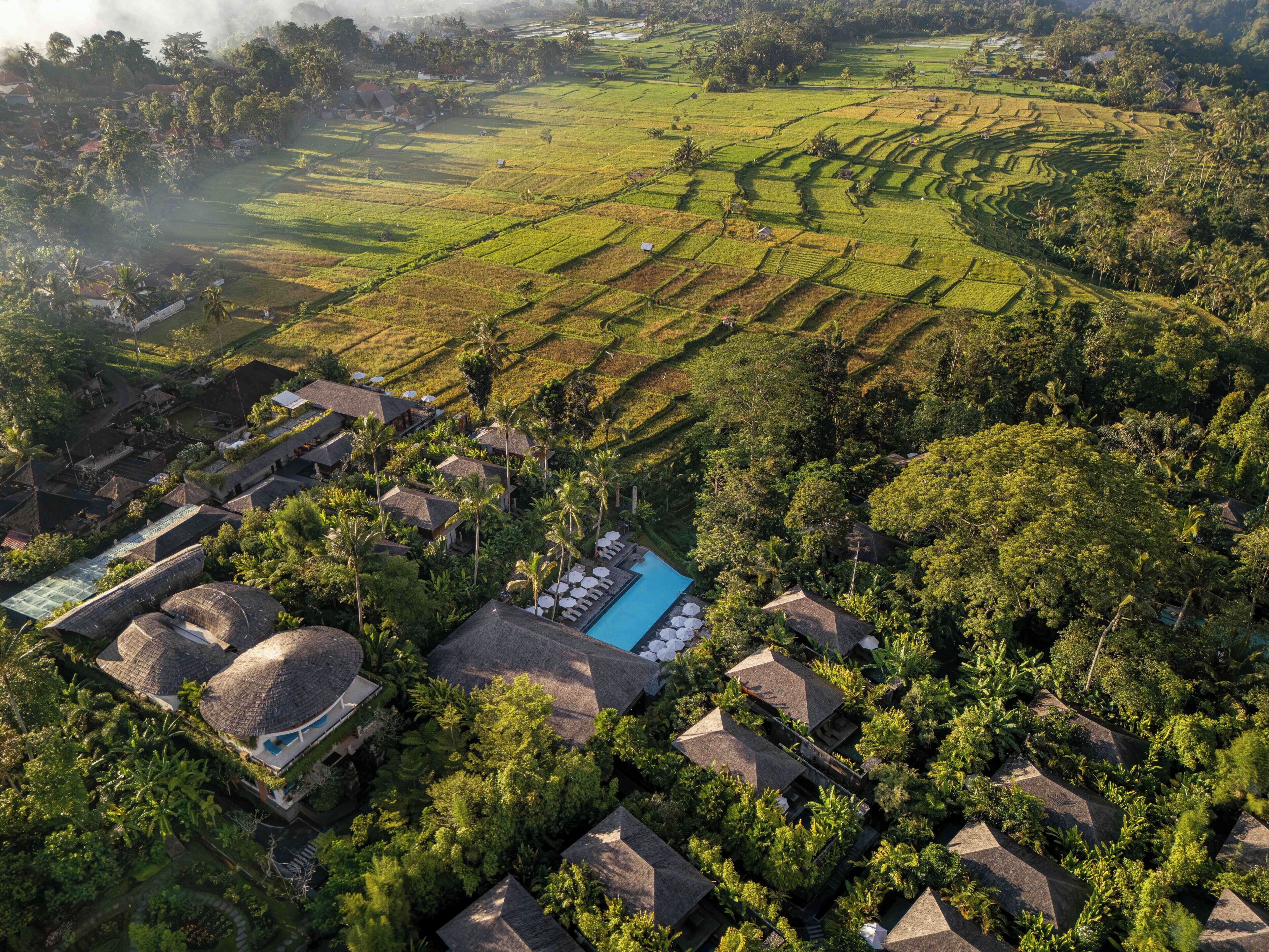 Foto - Kappa Senses Ubud Hotel