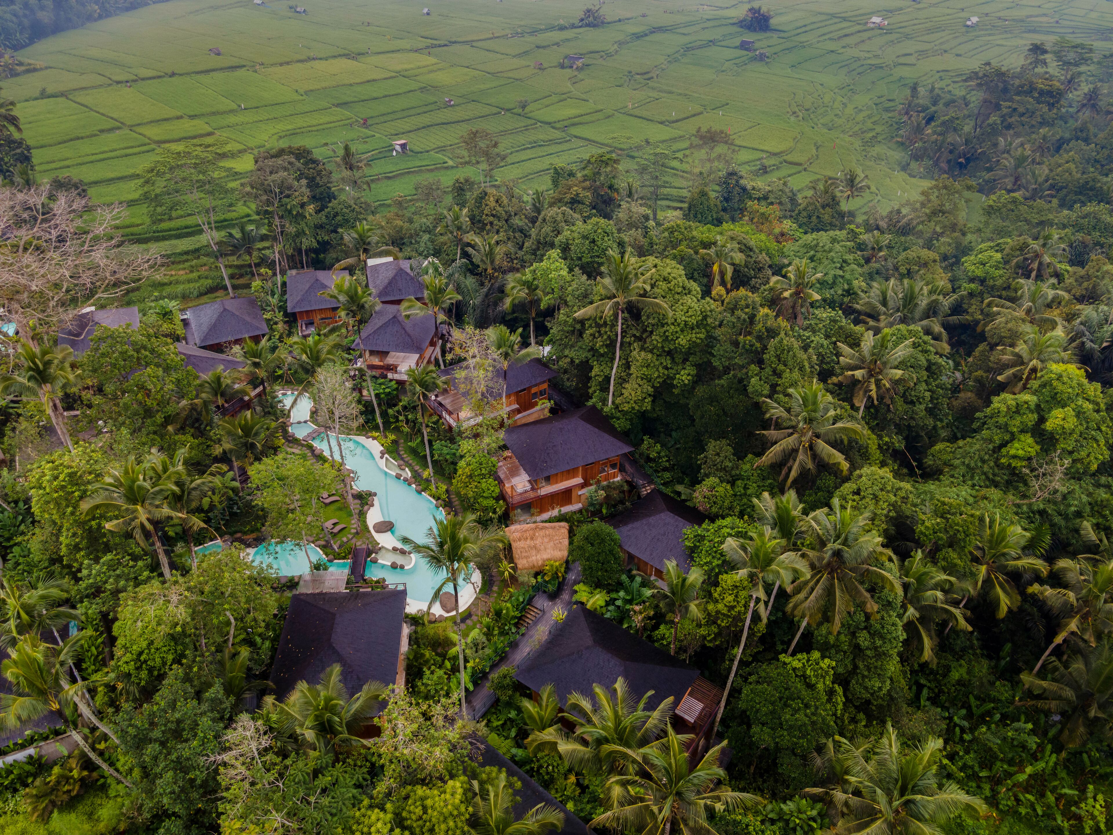 Foto - Kappa Senses Ubud Hotel