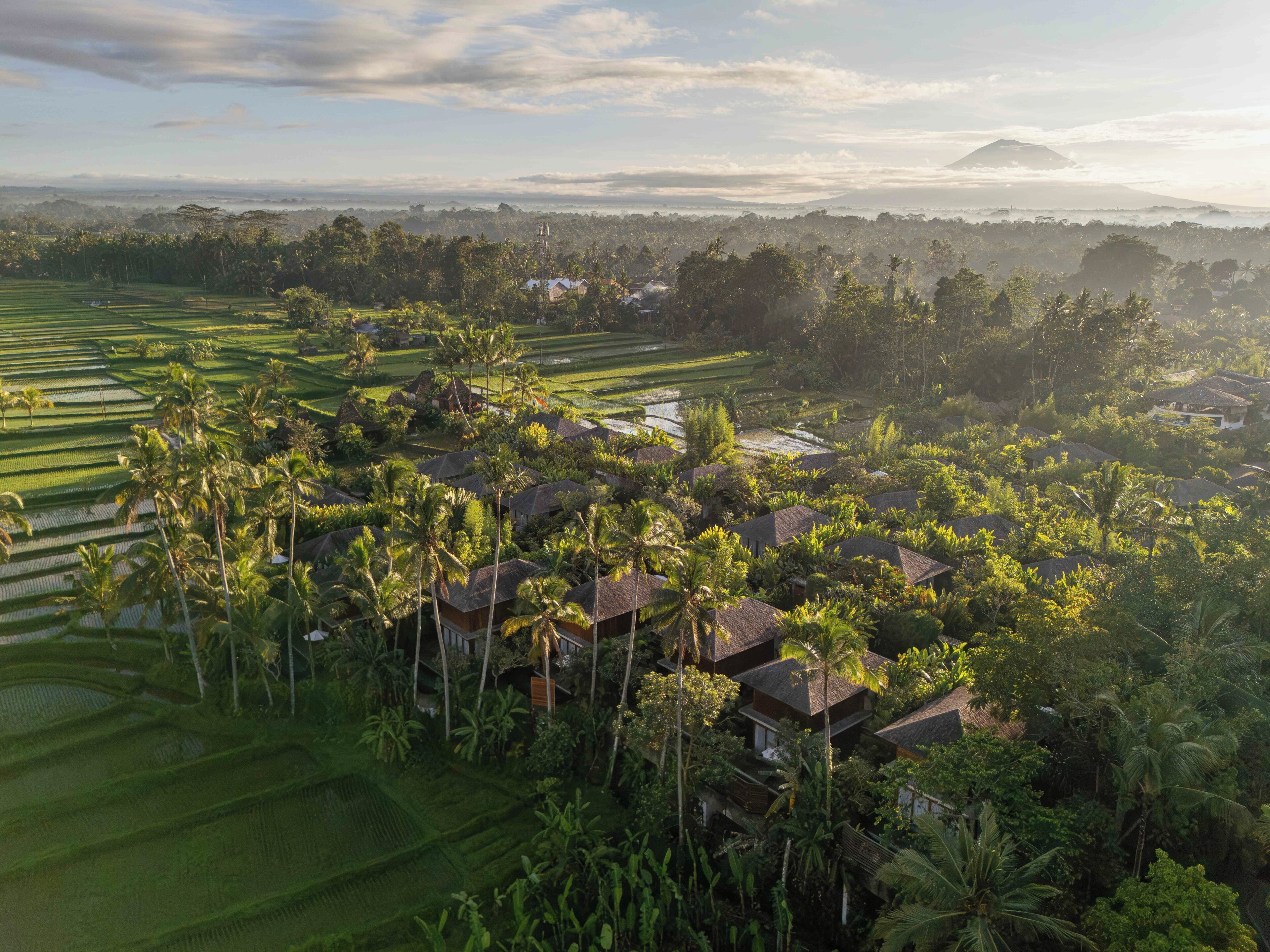 A rural landscape with terraced fields, palm trees, and traditional houses.