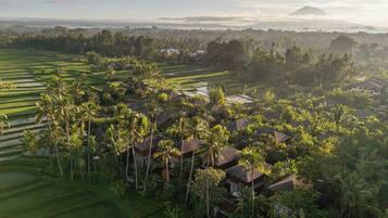 A rural landscape with terraced fields, palm trees, and traditional houses.